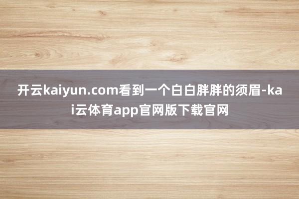 开云kaiyun.com看到一个白白胖胖的须眉-kai云体育app官网版下载官网
