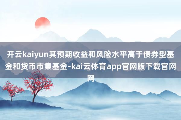 开云kaiyun其预期收益和风险水平高于债券型基金和货币市集基金-kai云体育app官网版下载官网